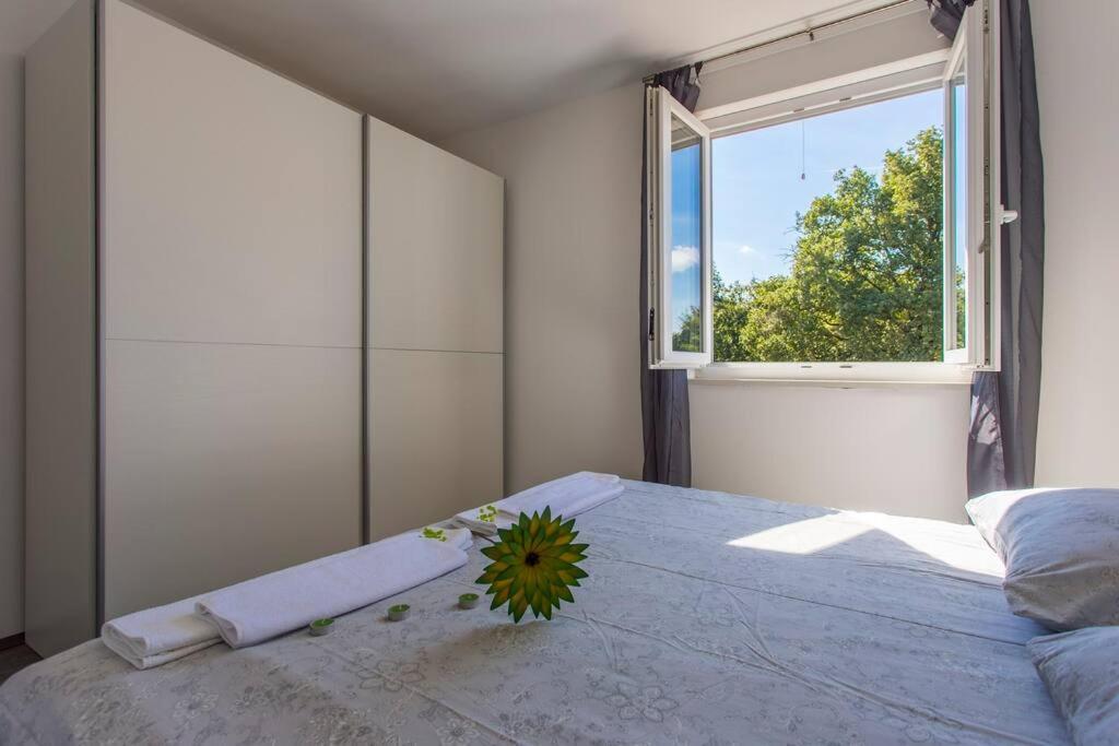 Modern House With Private Pool Villa Zminj ภายนอก รูปภาพ